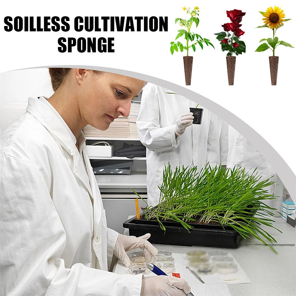 Aerogarden Seed Pod - 50Pcs Seed Grow Sponges Replacement Root