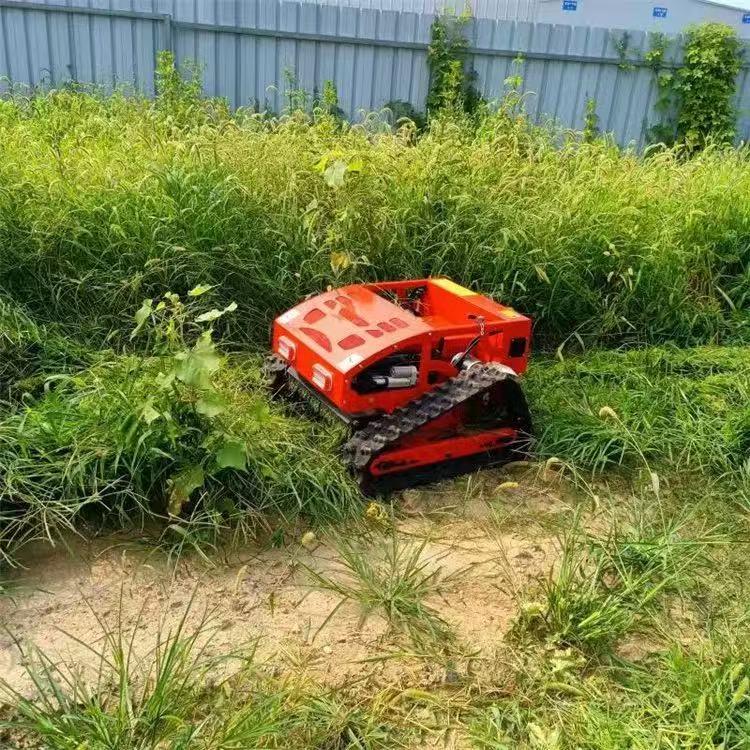 Smart Remote Control Rotatin W - Smart Garden Trimmer 评论和价格