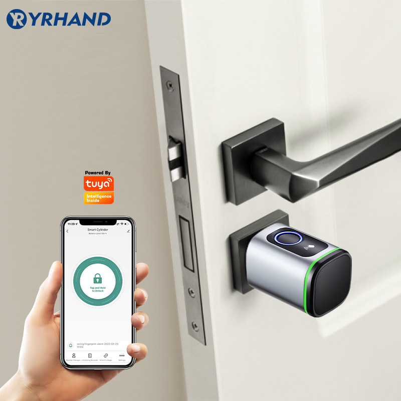 Euro Tuya Smart Fingerprint El - Smart Garden Lock 评论和价格