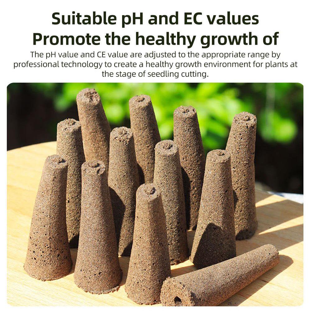 50Pcs Seed Grow Sponges Replac - Aerogarden Seed Pod 评论和价格