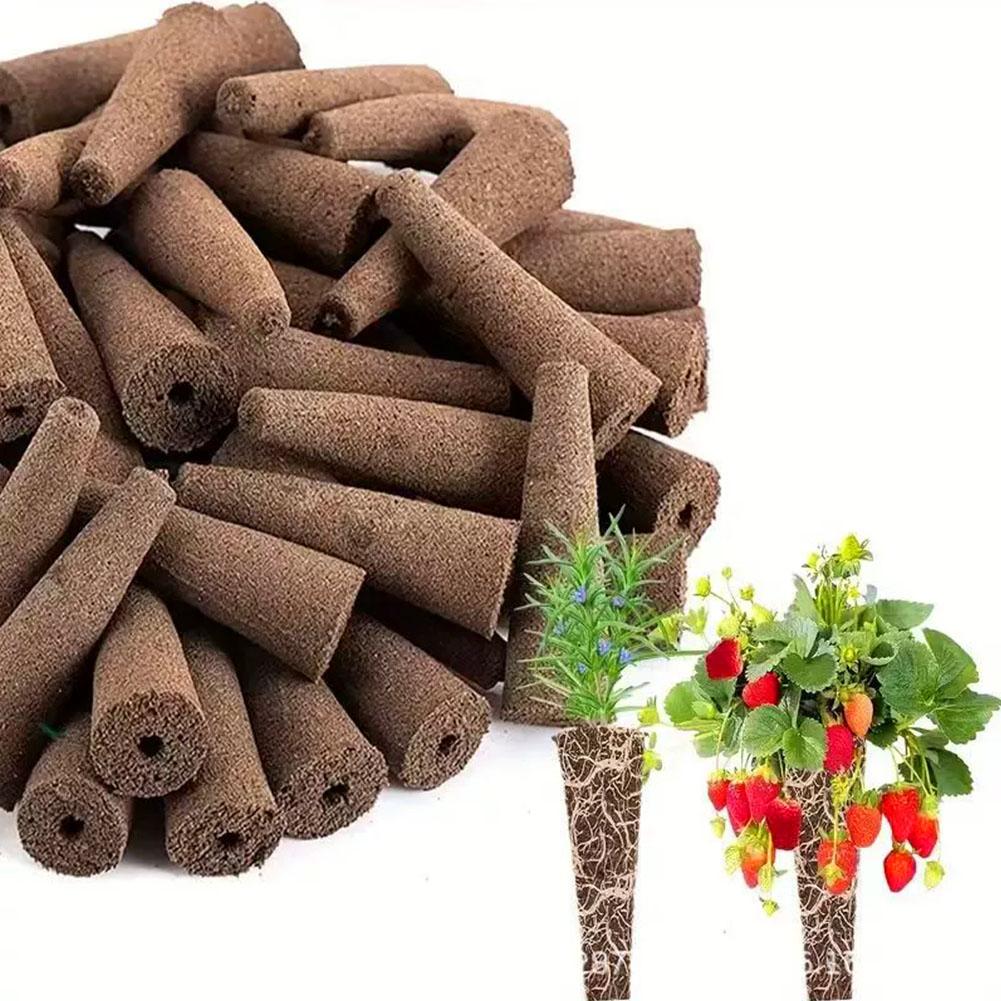 50Pcs Seed Grow Sponges Replac - Aerogarden Seed Pod 评论和价格