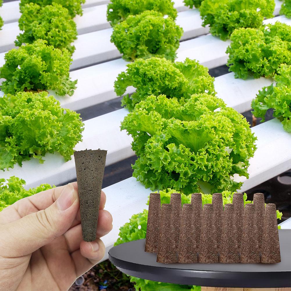 50Pcs Seed Grow Sponges Replac - Aerogarden Seed Pod 评论和价格