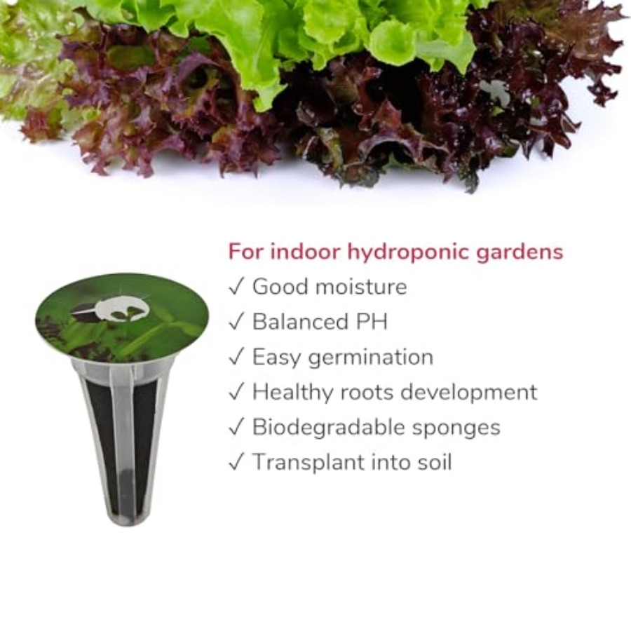 20-pod Seed Kit Lettuce Salad  - Aerogarden Seed Pod 评论和价格