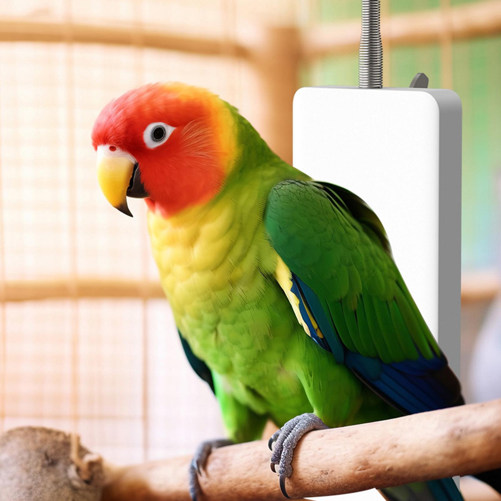Pet Heater 5V Safe Pet Winter  - Smart Garden Bird Bath 评论和价格
