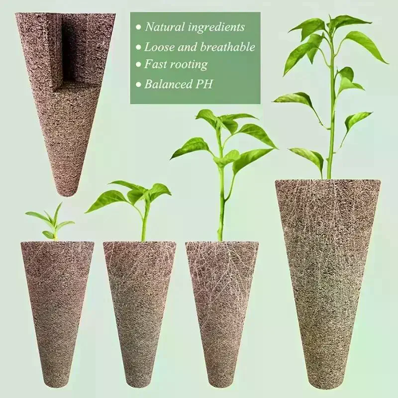 Robust Hydroponics Supplies, 6 - Aerogarden Seed Pod 评论和价格