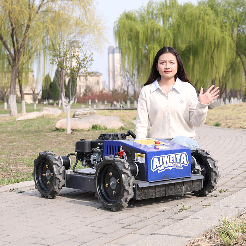 Customized Automatic Robot Law - Smart Garden Trimmer 评论和价格