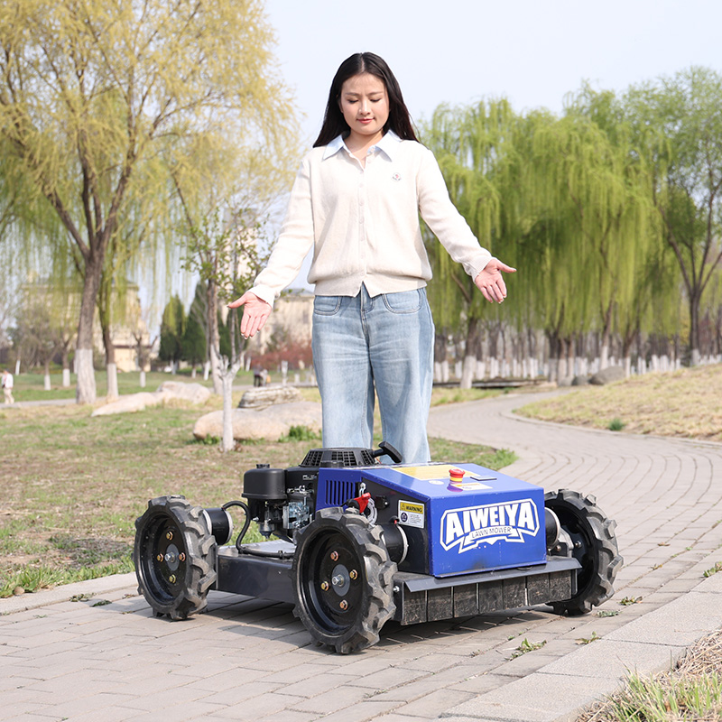 Customized Automatic Robot Law - Smart Garden Trimmer 评论和价格