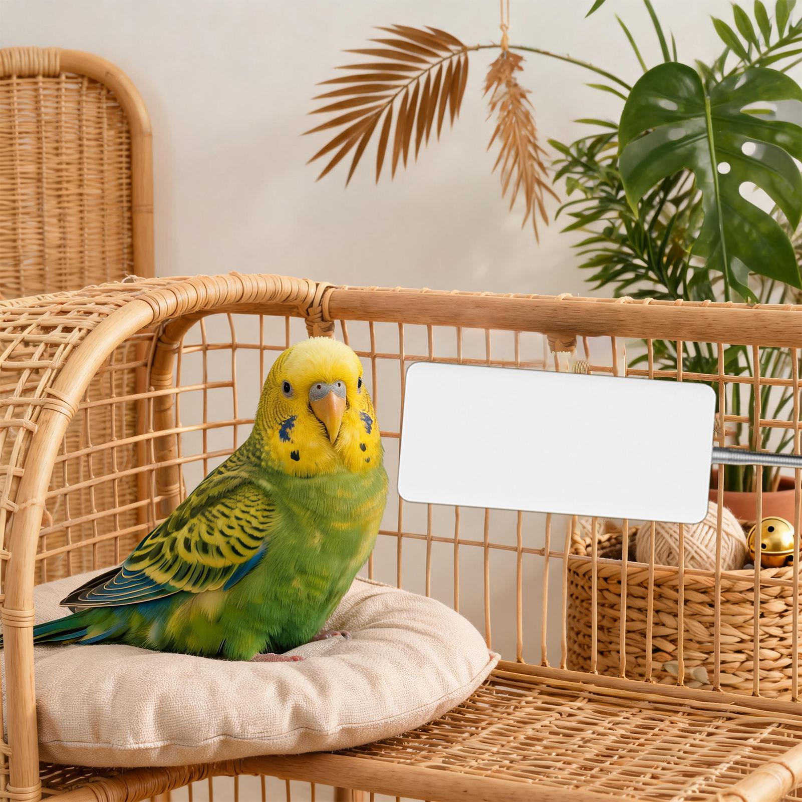 Bird Heater 5V Safe Pet Winter - Smart Garden Bird Bath 评论和价格