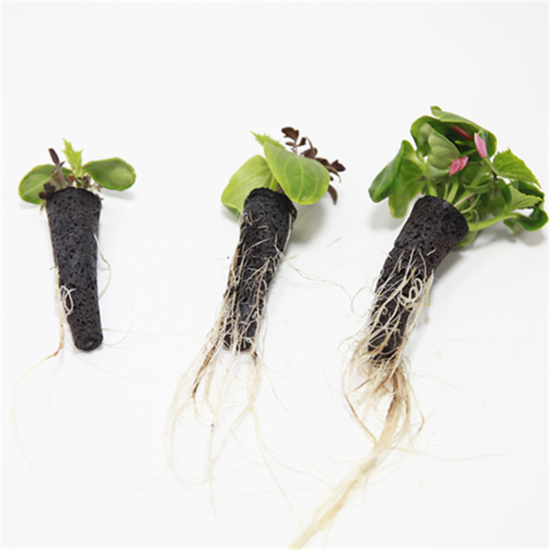 50/100pcs Plant Grow Basket Fo - Aerogarden Seed Pod 评论和价格