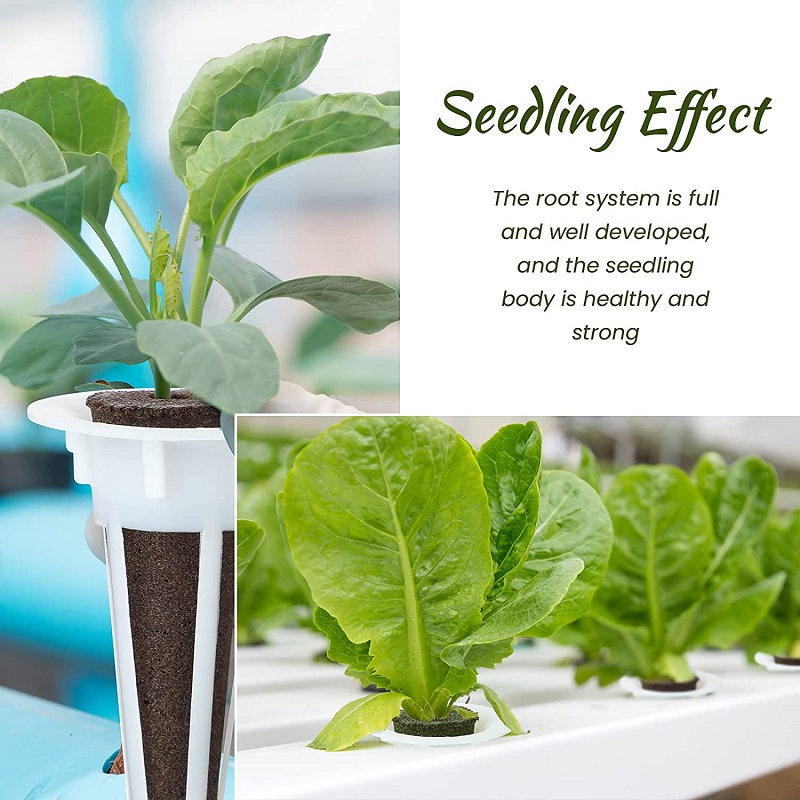 50/100pcs Plant Grow Basket Fo - Aerogarden Seed Pod 评论和价格
