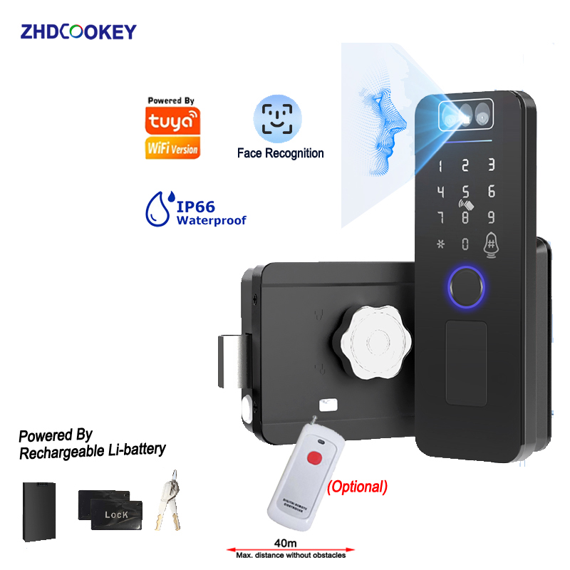 Tuya Wifi SmartLife 3D Face Re - Smart Garden Lock 评论和价格